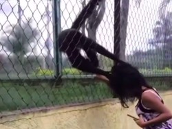 Karma Instan, Turis Ganggu Monyet Berakhir Dijambak Rambutnya