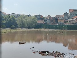 Penampakan Kolam Raksasa Kandang Arapaima yang Lepas di Garut