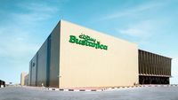 Canggih! Emirates Bikin Pertanian Vertikal Terbesar di Dunia