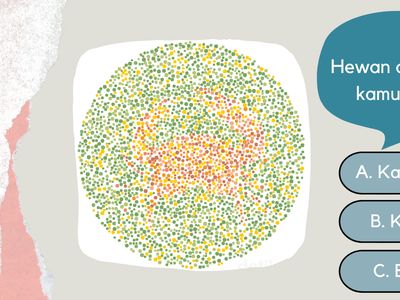 Tes Buta Warna Soal Hewan, Bisa Jawab Semua Nggak Nih?