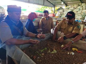 Terbukti, Budidaya Maggot Banyuwangi Bantu Kurangi 1 Ton Sampah per Hari