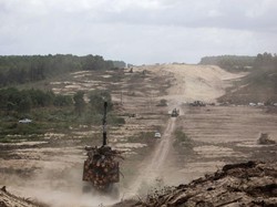 Meksiko Utara Diterpa Gelombang Panas dan Kekeringan