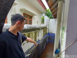 Jerit Pembudi Daya Ikan di Kulon Progo Imbas Harga Pakan Terus Naik