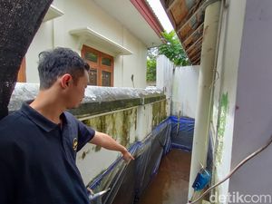 Jerit Pembudi Daya Ikan di Kulon Progo Imbas Harga Pakan Terus Naik Jerit Pembudi Daya Ikan di Kulon Progo Imbas Harga Pakan Terus Naik