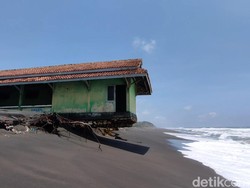 Tak Kunjung Direlokasi, Penangkaran Penyu Pantai Trisik Terancam Abrasi