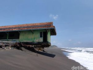 Tak Kunjung Direlokasi, Penangkaran Penyu Pantai Trisik Terancam Abrasi Tak Kunjung Direlokasi, Penangkaran Penyu Pantai Trisik Terancam Abrasi