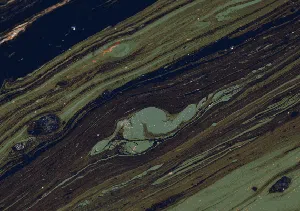 Potret Tumpahan Minyak Menjelma Bak Lukisan, Setuju?