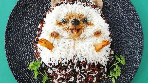 Lucu Menggemaskan, 10 Hewan Ini Dibuat Dari Aneka Makanan