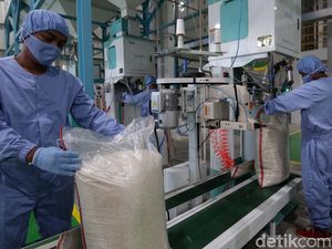 Beras Rojolele-Pandan Wangi Bakal Diekspor ke Malaysia & Arab Saudi Beras Rojolele-Pandan Wangi Bakal Diekspor ke Malaysia & Arab Saudi