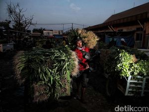 Melihat Aktivitas Pedagang Sayur di Pasar Babelan Bekasi Melihat Aktivitas Pedagang Sayur di Pasar Babelan Bekasi