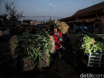 Melihat Aktivitas Pedagang Sayur di Pasar Babelan Bekasi