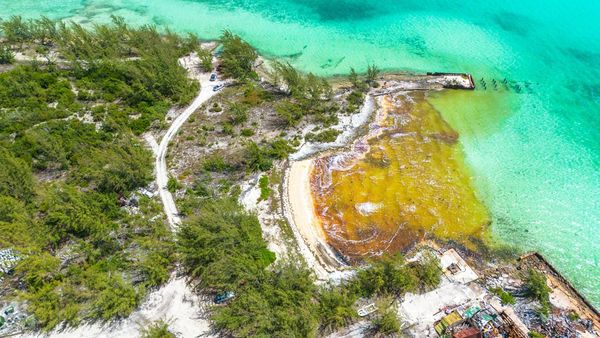 Penampakan Tumpahan Bahan Bakar Cemari Pantai di Bahama