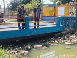 Ratusan Ikan Mujair di Sungai Tepi Jalan Lamongan Mati Mendadak