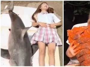 Nekat Makan Bayi Hiu Putih, Vlogger Ini Dipenjara 5 Tahun Nekat Makan Bayi Hiu Putih, Vlogger Ini Dipenjara 5 Tahun