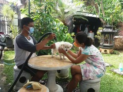 Buka Usaha Salon Anjing Keliling, Mahasiswa di Buleleng Raup Cuan