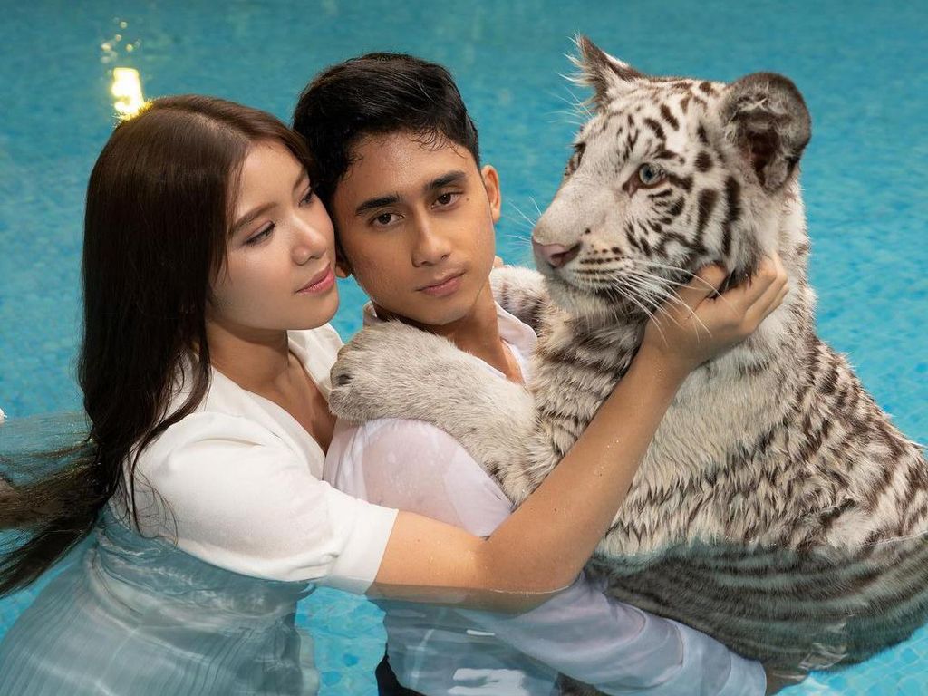 Foto Tiara Andini dan Harimau Milik Alshad Ahmad yang Bikin Fans Kecewa Foto Tiara Andini dan Harimau Milik Alshad Ahmad yang Bikin Fans Kecewa