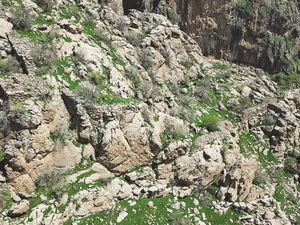 Kota yang Hilang dan Cuma Diketahui dari Koin, Muncul Lagi