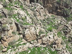 Kota yang Hilang dan Cuma Diketahui dari Koin, Muncul Lagi