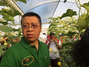 Duduk Perkara Surat Gubernur Zul Tagih Utang Rp 1,4 M ke Ketua PKB NTB Duduk Perkara Surat Gubernur Zul Tagih Utang Rp 1,4 M ke Ketua PKB NTB
