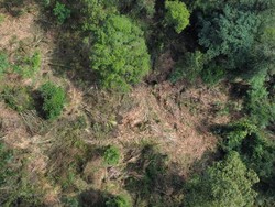 Fakta-fakta Meninggalnya Mahasiswa Unsil di Gunung Cakrabuana