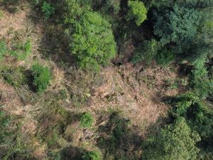 Pecinta Alam Resah Ada Alih Fungsi Hutan di Gunung Cakrabuana Pecinta Alam Resah Ada Alih Fungsi Hutan di Gunung Cakrabuana