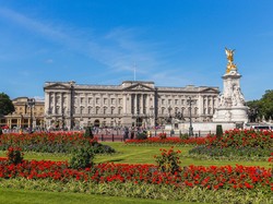 Apa Itu Sertifikat Hak Milik atau SHM? Ini Penjelasannya