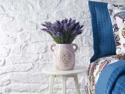 Pengertian Tanaman Hias dan Jenisnya yang Berkhasiat Untuk Kesehatan