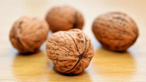 Kacang Kenari/ pexels.com/ Pixabay