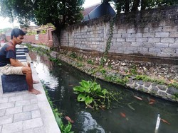 Sungai Bersih Ala Jepang di Banjar Gunung Denpasar, Dihuni Ikan Hias