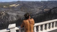 Penampakan Hutan di Spanyol yang Gosong Usai Diamuk Api
