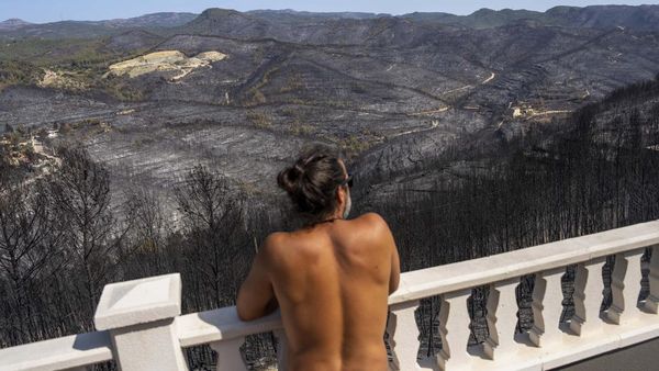 Penampakan Hutan di Spanyol yang Gosong Usai Diamuk Api