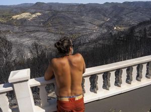 Penampakan Hutan di Spanyol yang Gosong Usai Diamuk Api
