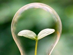 Konservasi dan Efisiensi Energi dalam Kurikulum Merdeka