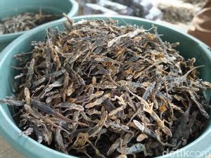 Cicak Kering dari Cirebon Tembus Pasar China