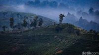 Surga Wisata Tersembunyi di Malasari, Ubud-nya Bogor