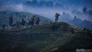 Surga Wisata Tersembunyi di Malasari, Ubud-nya Bogor