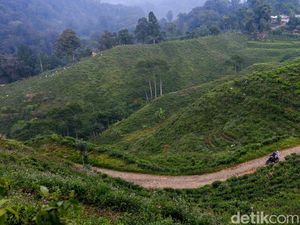 Tour Malasari 2025: Bibit Event Sepeda Nasional di Kabupaten Bogor Tour Malasari 2025: Bibit Event Sepeda Nasional di Kabupaten Bogor