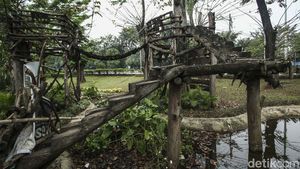 Taman Tomang Rawa Kepa Rusak, Begini Foto-fotonya