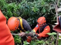 Pelajar Jatuh ke Jurang di Klungkung, Pihak Sekolah Ungkap Kondisi Korban