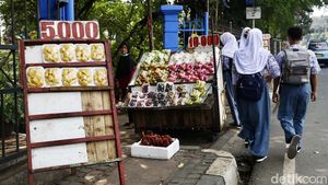 Duh... Trotoar di Jalan Raya Bogor Kramat Jati Dikuasai Pedagang Buah
