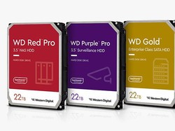 Western Digital Hadirkan HDD 22TB ke Indonesia