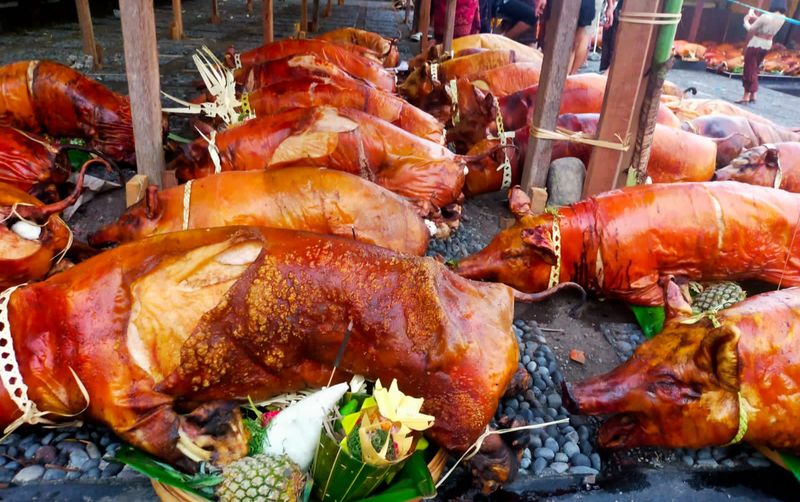 Beberapa ekor babi guling berjajar di Pura Panti Kaler, Desa Adat Timbrah, Kecamatan dan Kabupaten Karangasem, Bali.