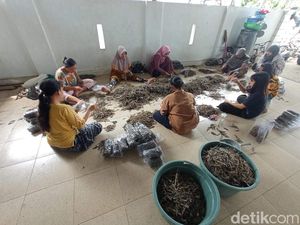 Pemprov Jabar Kaji Aspek Lain dari Bisnis Cicak Kering di Cirebon