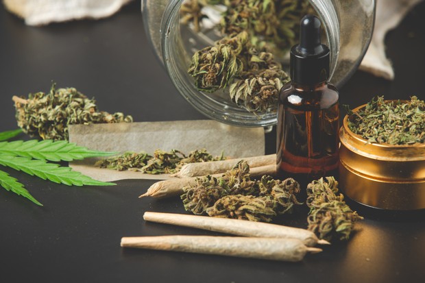legalisasi penggunaan ganja medis untuk pengobatan