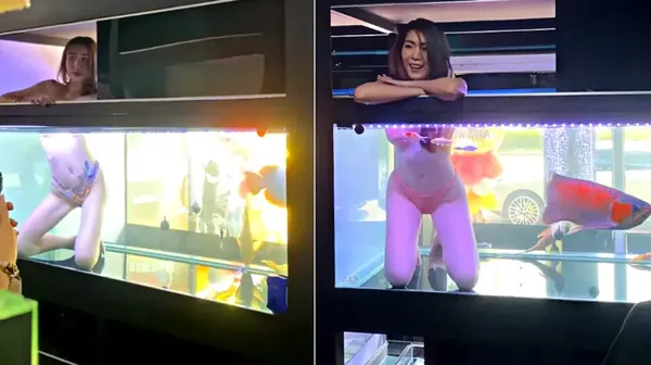 Pembukaan Toko Aquarium Ini Sewa Model Berbikini, Tuai Kritik