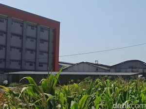 Pemadaman Kebakaran Gudang Mranggen Masih Berlangsung, Kini Tahap Pendinginan Pemadaman Kebakaran Gudang Mranggen Masih Berlangsung, Kini Tahap Pendinginan