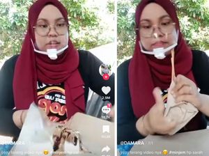 Risol Margo hingga Nasi Bakar Ini Viral Gegara Promosi di TikTok