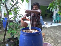 Inovasi Petani Tulungagung Ubah Limbah Belimbing Jadi Pupuk Cair