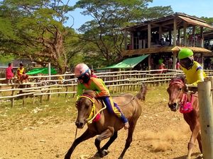 Penghobi Pacuan Kuda di NTB Tak Terima Joki Cilik Dihapus