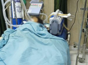 Tertimpa Pohon, Bocah Asal Sidemen Karangasem Meninggal Dunia